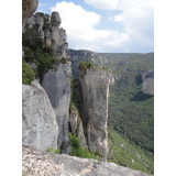 photo miniature